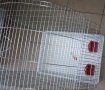 Клетка за големи Папагали, Птици, Супер голяма XXXL2 с объл покрив тънка тел малки отвори 1см - Жако, снимка 5
