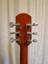 Китара Walden + подарък , снимка 6