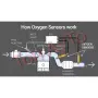 Емулатор за Ламбда Сонда С Керамичен Филтър M18x1.5 Права и Г-Образна Lambda O2 Sensor Spacer, снимка 15