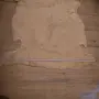 Голяма агнешка кожа, снимка 8