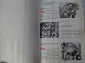 Книга Инструкция за обслужване на Полски Фиат 125p  Варшава Полша 1973 година, снимка 11