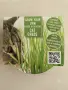 Прясна котешка трева (Cat Grass Growset)- Комплект за отглеждане, снимка 1