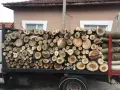Дърва за огрев кавак на кубичен метър, снимка 2