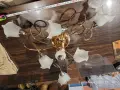 класически таванен полилей (луна / плафониера) с 5 светлини. , снимка 4