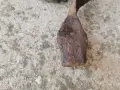 Много Старо сечиво, снимка 4