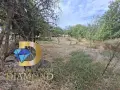 Стара къща с парцел в село Спасово, общ. Чирпан, снимка 5
