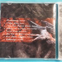 Vanitas – 2002 - Der Schatten Einer Existenz(Black Metal,Death Metal), снимка 4 - CD дискове - 42716740