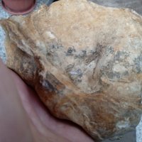 4бр интересни фосили, вкаменелости , снимка 9 - Антикварни и старинни предмети - 37180097