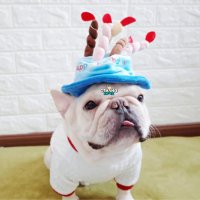 Кучешка шапка за рожден ден Шапка за рожден ден на домашен любимец Шапки за кучешки рожден ден, снимка 6 - За кучета - 27063244