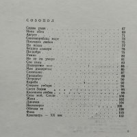 Кестенова любов Ваня Петкова, снимка 3 - Българска литература - 42357724