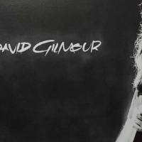 David Gilmour-метална табела(плакет), снимка 2 - Китари - 44913681