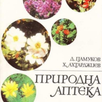 ПРИРОДНА АПТЕКА Димитър Памуков, Христо Ахтарджиев, снимка 1 - Специализирана литература - 44668445