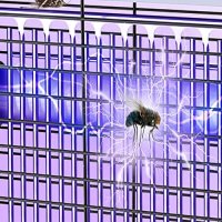 Нова Преносима Лампа срещу Комари и Мухи - 3200v Убиец насекоми, снимка 3 - Други стоки за дома - 42552215