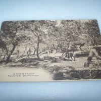 Стара пощенска картичка от Lacanau Франция, снимка 2 - Филателия - 42798300
