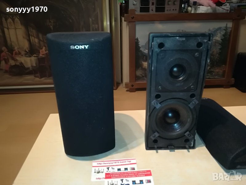SONY SS-SW1 ВНОС SWISS 2107221956L, снимка 1