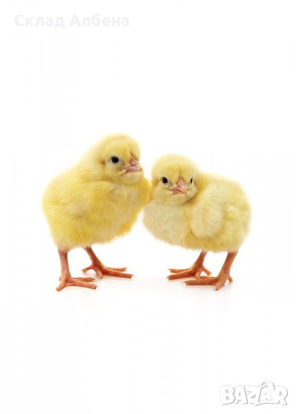 Смеска за пилета до 30-дневна възрас БОНМИКС, 10кг, снимка 1