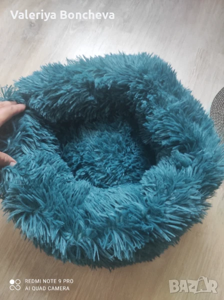 Котешко легло, снимка 1