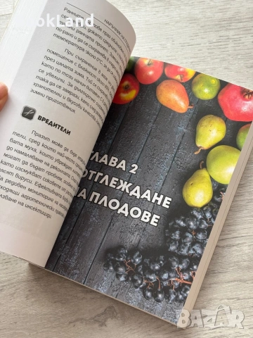 Наръчник на градинаря – Илиян Бельов , снимка 14 - Други - 53257631