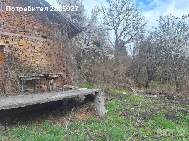 Къща с. Ялботина-област Драгоман, снимка 4 - Къщи - 54208959