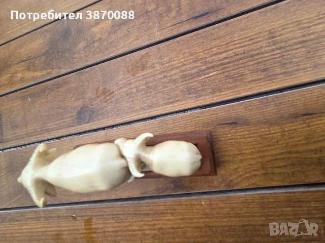 Воден бивол!!!!, снимка 2 - Други животни - 56192685