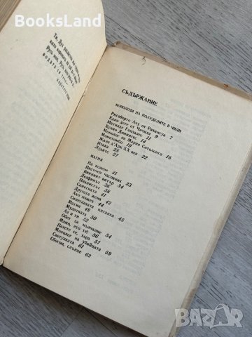 Обет за мълчание Ваня Петкова, снимка 12 - Българска литература - 44252350