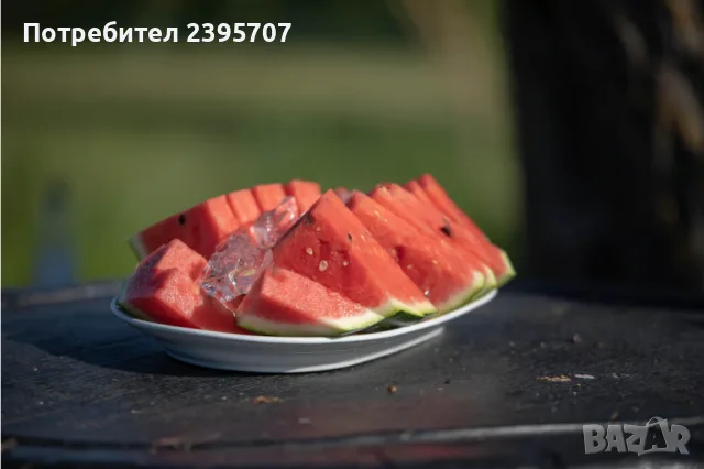 Семки от диня от Хърватска - делтата на река Неретва