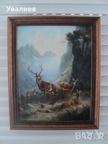 Картини на животни - репродукции, снимка 4 - Картини - 31437451