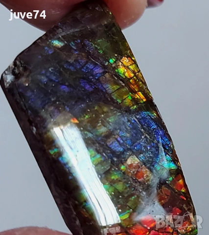 МНОГОЦВЕТЕН АМОЛИТ (АЛБЪРТА,КАНАДА) 35х17.8 мм, снимка 4 - Други - 53118642