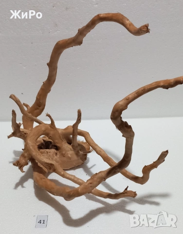 Корен от Азалия /декорация/ 41, снимка 4 - Други - 54102019