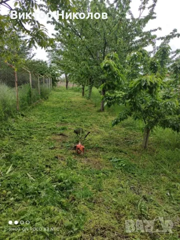 Транспортни и Хамалски услуги , снимка 12 - Транспортни услуги - 49800027