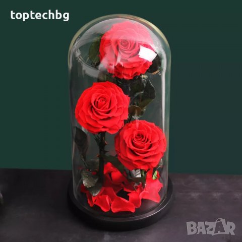 3 броя Луксозна вечна роза в стъкленица Beauty Roses, Червен, снимка 1 - Изкуствени цветя - 37905312