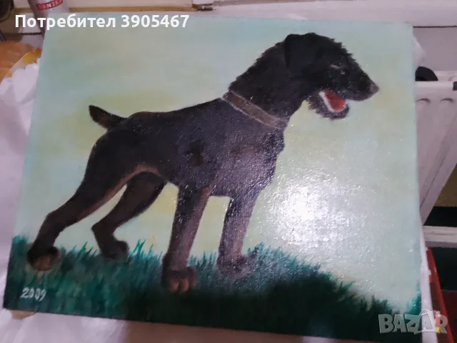 Моят любим шнауцер