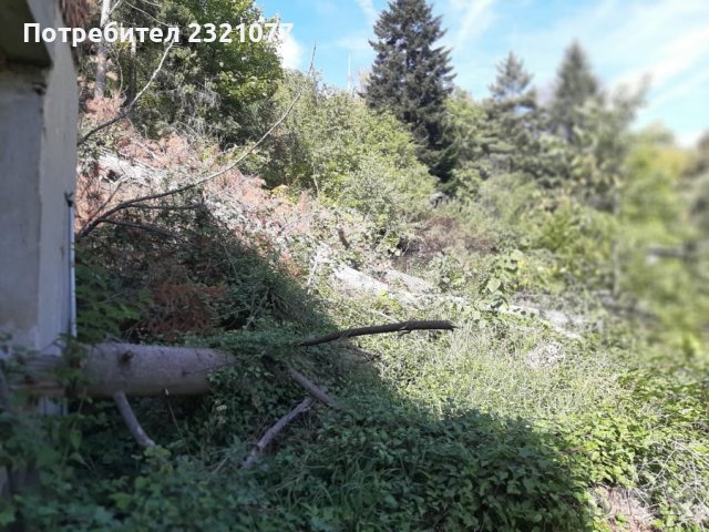 Борови трупи, снимка 5 - Строителни материали - 38176102