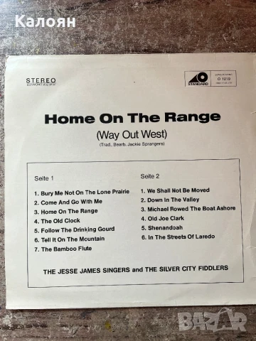 Грамофонна плоча - винил с уестърн музика , снимка 6 - Грамофонни плочи - 51228385