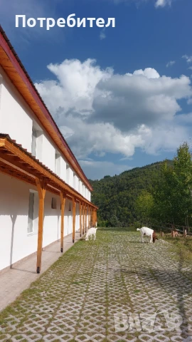 Къща за гости "Давидковска река", снимка 8 - Вили - 50903249