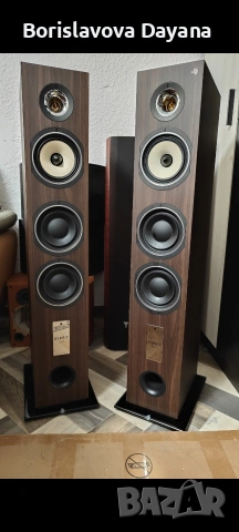 Тонколони TRIANGLE GAIA Ez 