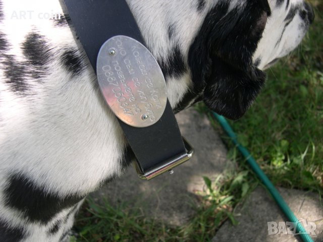 Изработка на медальони за кучета, снимка 5 - За кучета - 30106374