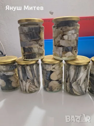 Мариновани риби, снимка 14 - Зимни спортове - 55774687
