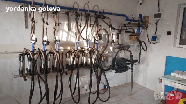 Доилна инсталация- млекопровод DeLaval