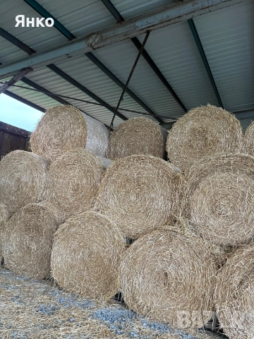 Бали слама ролонни, снимка 3 - За селскостопански - 52337096