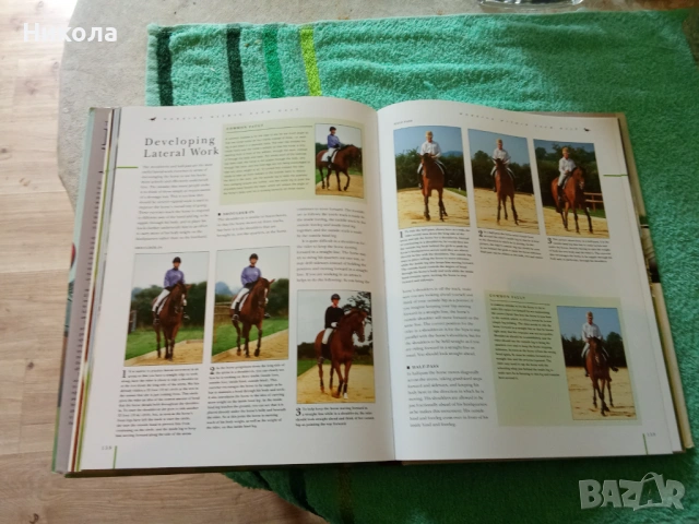 The complete Horse Rider - Книга Всичко за ездача, снимка 5 - Специализирана литература - 53943993