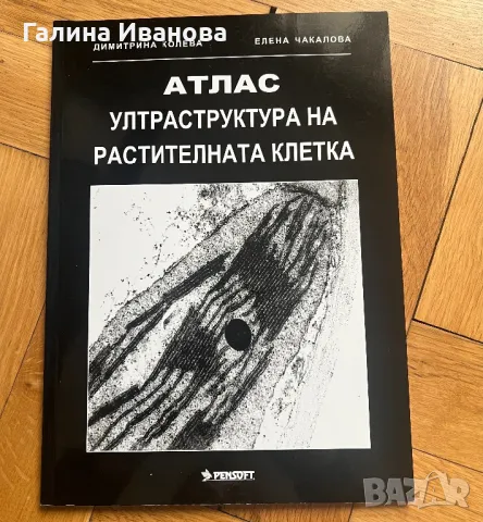 Атлас - ултраструктура на растителна клетка , снимка 1 - Специализирана литература - 47440265