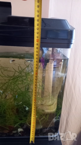 Продавам 2бр.аквариуми, снимка 4 - Аквариуми - 51190549