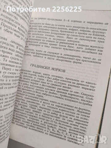 Лечебни свойства на хранителните растения, снимка 6 - Специализирана литература - 54017214