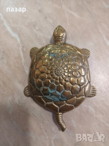 Бронзова кутийка тип костенурка 
