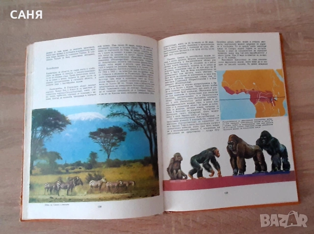 Чудесата на света- енциклопедия, снимка 6 - Енциклопедии, справочници - 53639415