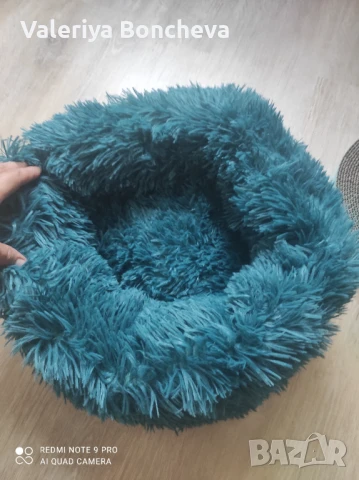 Котешко легло