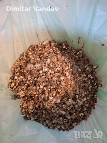 Тор от пъдпъдъци