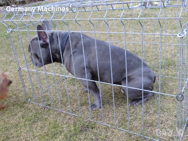 за кучета КЛЕТКА 82-56-см, метална, СГЪВАЕМА. Подходяща е за средни по големина породи кучета с тегл