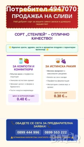 Сливи сорт Стенлей